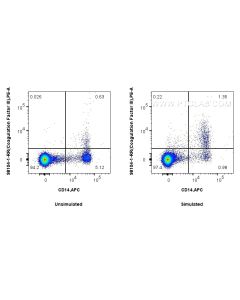 Anti-Human Tissue Factor/CD142 Rabbit Recombinant Antibody Proteintech  98104-1-RR
