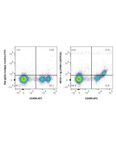 Anti-Mouse LPAM-1 (DATK32) Proteintech  65101-1-Ig