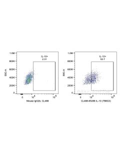 Anti-Human IL-10 (7B8G3) Proteintech  65286-1-Ig