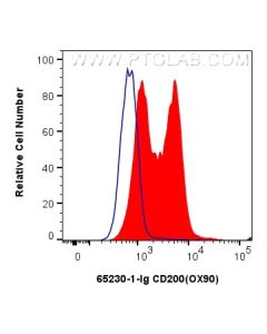Anti-Mouse CD200 (OX90) Proteintech  65230-1-Ig