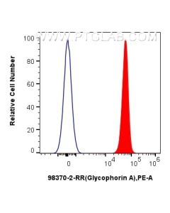 Anti-Human Glycophorin A/CD235a Rabbit Recombinant Antibody Proteintech  98370-2-RR