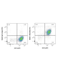 Anti-Mouse CD68 Rabbit Recombinant Antibody Proteintech  98029-1-RR