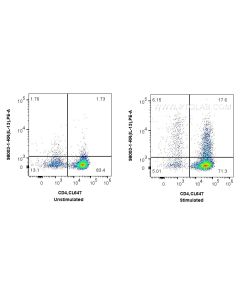 Anti-Mouse IL-13 Rabbit Recombinant Antibody Proteintech  98003-1-RR