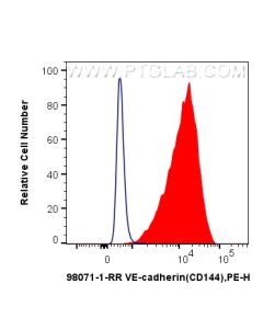 Anti-Human VE-cadherin/CD144 Rabbit Recombinant Antibody Proteintech  98071-1-RR