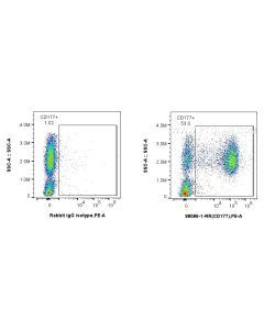 Anti-Human CD177 Rabbit Recombinant Antibody Proteintech  98086-1-RR