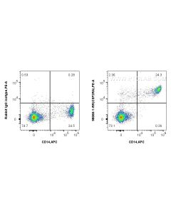 Anti-Human CSF2RA/CD116 Rabbit Recombinant Antibody Proteintech  98066-1-RR