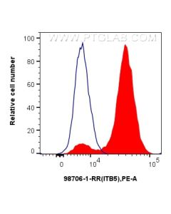 Anti-Mouse Integrin beta 5 Rabbit Recombinant Antibody Proteintech  98706-1-RR