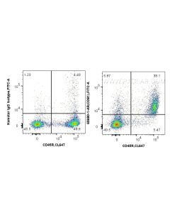 Anti-Mouse CD81 (EAT2) Armenian Hamster IgG2a Recombinant Antibody Proteintech  65680-1-AR