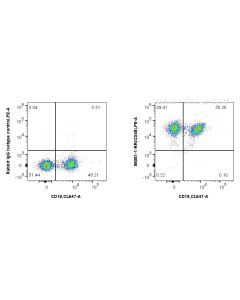 Anti-Mouse CD48 Rabbit Recombinant Antibody Proteintech  98081-1-RR