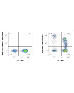 Anti-Human CD73 Rabbit Recombinant Antibody Proteintech  98566-1-RR