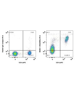 Anti-Human EMR2/CD312 Rabbit Recombinant Antibody Proteintech  98260-1-RR
