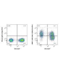Anti-Human ICAM-1/CD54 (15.2) Mouse IgG2a Recombinant Antibody Proteintech  65567-1-MR