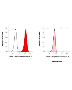 Anti-Human VEGFR2/CD309 Rabbit Recombinant Antibody Proteintech  98009-1-RR