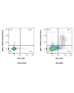Anti-Mouse PD-L2/CD273 Rabbit Recombinant Antibody Proteintech  98241-1-RR