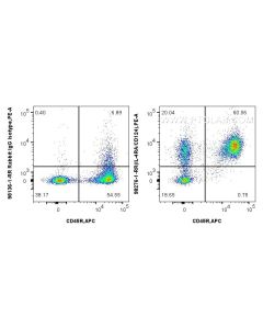Anti-Mouse IL-4RA/CD124 Rabbit Recombinant Antibody Proteintech  98276-1-RR