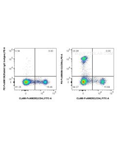 FcZero-rAb? PE Anti-Rat CD8a Rabbit Recombinant Antibody Proteintech  PE-FcA98484-2