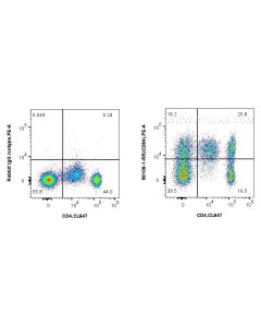 Anti-Human CD84 Rabbit Recombinant Antibody Proteintech  98108-1-RR