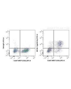 Anti-Mouse CD134/OX40 (OX-86) Proteintech  65136-1-Ig