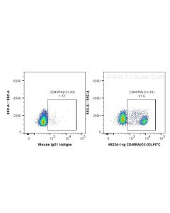 Anti-Rat CD45RA (OX-33) Proteintech  65234-1-Ig
