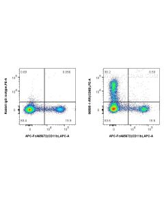 Anti-Guinea Pig CD8b Rabbit Recombinant Antibody Proteintech  98585-1-RR