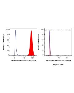 Anti-Human Nectin-2/CD112 Rabbit Recombinant Antibody Proteintech  98283-1-RR