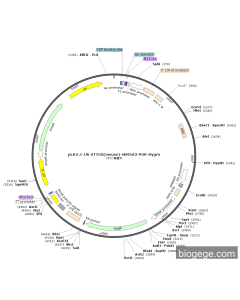 pLKO.1-U6-STING(mouse)-shRNA3-PGK-Hygro