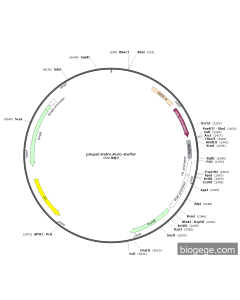 pSuper.Retro.Puro-stuffer