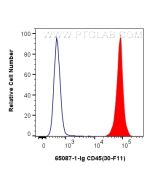 Anti-Mouse CD45 (30-F11) proteintech 65087-1-Ig