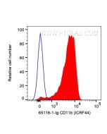 Anti-Human CD11b (ICRF44) proteintech 65116-1-Ig