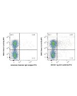 Anti-Mouse CD11c (N418) proteintech 65130-1-Ig