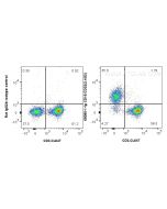 Anti-Mouse CD16/CD32 (2.4G2) proteintech 65080-1-Ig