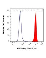 Anti-Mouse CD45.2 (104) proteintech 65072-1-Ig