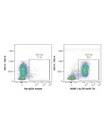 Anti-Mouse CD11b (M1/70) proteintech 65055-1-Ig