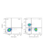 Anti-Human CD3 (OKT3) proteintech 65133-1-Ig