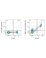 Anti-Human CD11b (ICRF44) Mouse IgG2a Recombinant Antibody proteintech 65582-1-MR