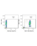 Anti-Human LILRA6/CD85b Rabbit Recombinant Antibody proteintech 98479-1-RR