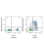 Anti-Human CD40L/CD154 Rabbit Recombinant Antibody proteintech 98355-2-RR