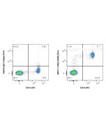 Anti-Human LILRA5/CD85f Rabbit Recombinant Antibody proteintech 98477-1-RR