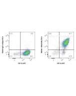Anti-Mouse F4/80 Rabbit Recombinant Antibody proteintech 98236-1-RR