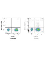 Anti-Human IL-4 Rabbit Recombinant Antibody proteintech 98138-1-RR