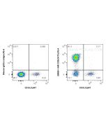 Anti-Human CD3 (OKT3) Mouse IgG2a Recombinant Antibody proteintech 65569-1-MR