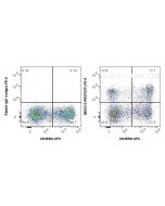 Anti-Human TIGIT Rabbit Recombinant Antibody proteintech 98023-2-RR