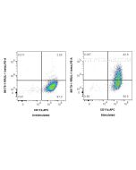 Anti-Mouse IL-1 beta Rabbit Recombinant Antibody proteintech 98179-1-RR