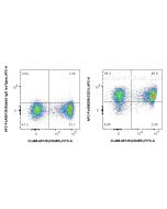 FcZero-rAb? APC Anti-Mouse CD31 Rabbit Recombinant Antibody Proteintech  APC-FcA98258