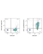 Anti-Human Integrin Beta 1/CD29 (TS2/16) Proteintech  65191-1-Ig