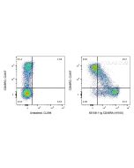 Anti-Human CD45RA (HI100) Proteintech  65108-1-Ig