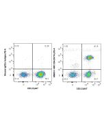 Anti-Human CD4 (OKT4) Mouse IgG2a Recombinant Antibody Proteintech  65603-1-MR