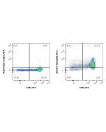 Anti-Mouse Fas/CD95 Rabbit Recombinant Antibody Proteintech  98135-1-RR