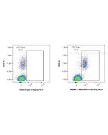 Anti-Human TNFR1/CD120a Rabbit Recombinant Antibody Proteintech  98085-1-RR