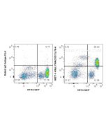Anti-Human IL-17RA Rabbit Recombinant Antibody Proteintech  98271-1-RR